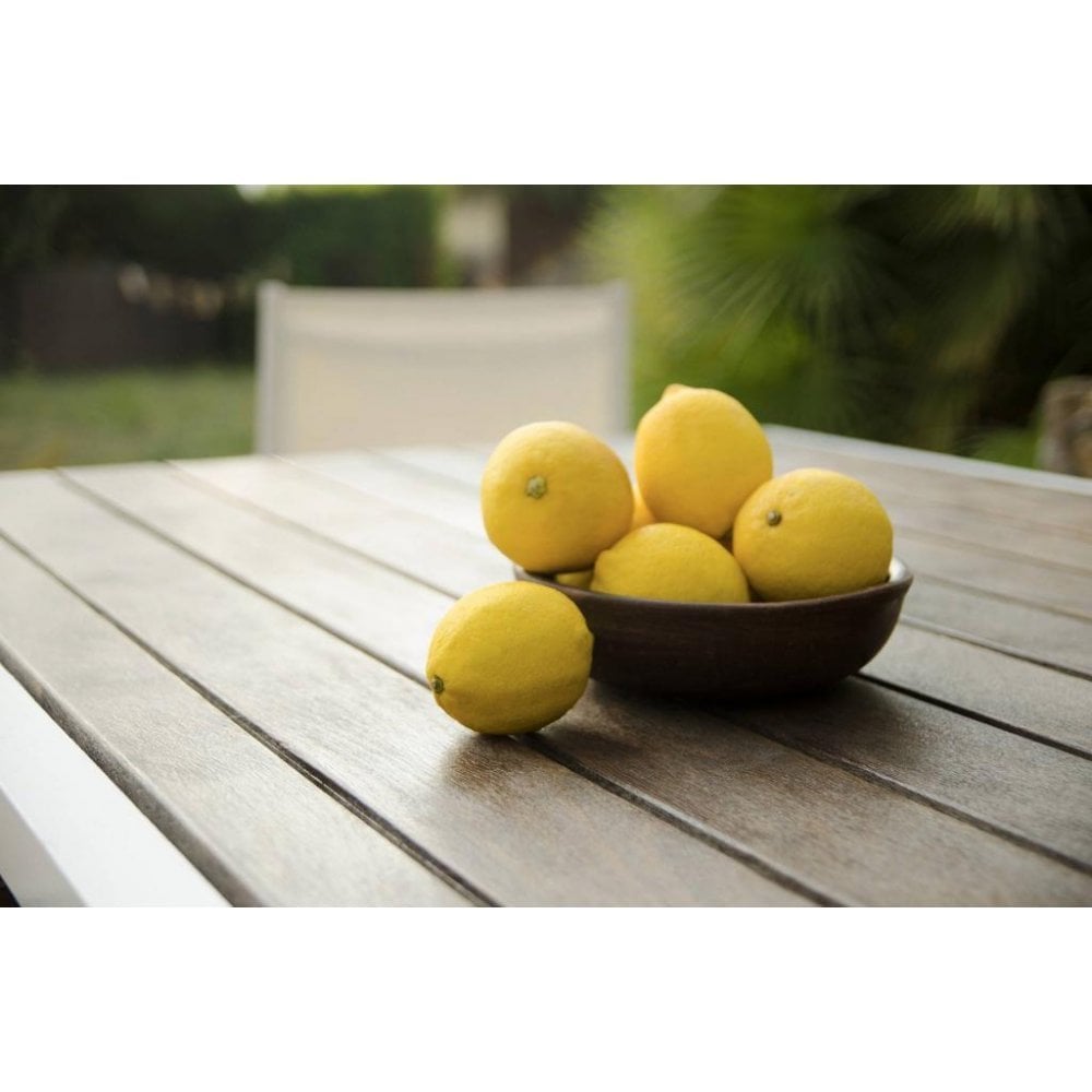 MTN Synthetic Varnish Spray